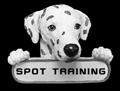 spot training